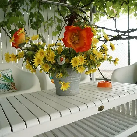 Bed and Breakfast Sogno D'estate 4*