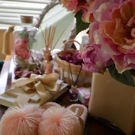 Sogno D'estate Porto Garibaldi